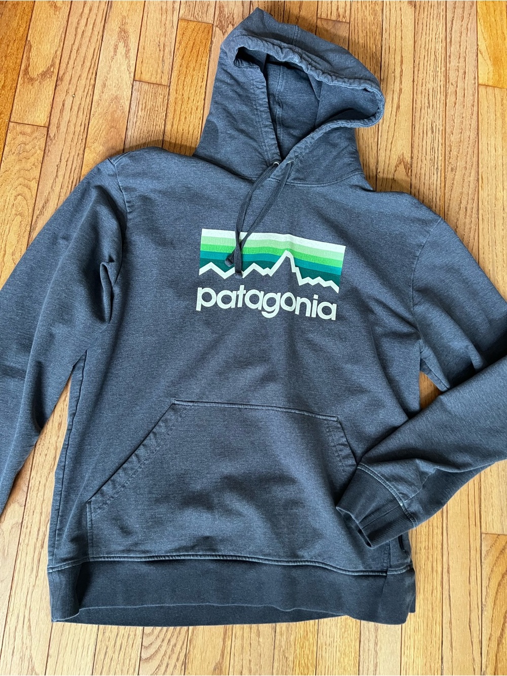 Patagonia Fitz Roy Mountain Stream Hoodie Sweatshirt Gray Men’s M